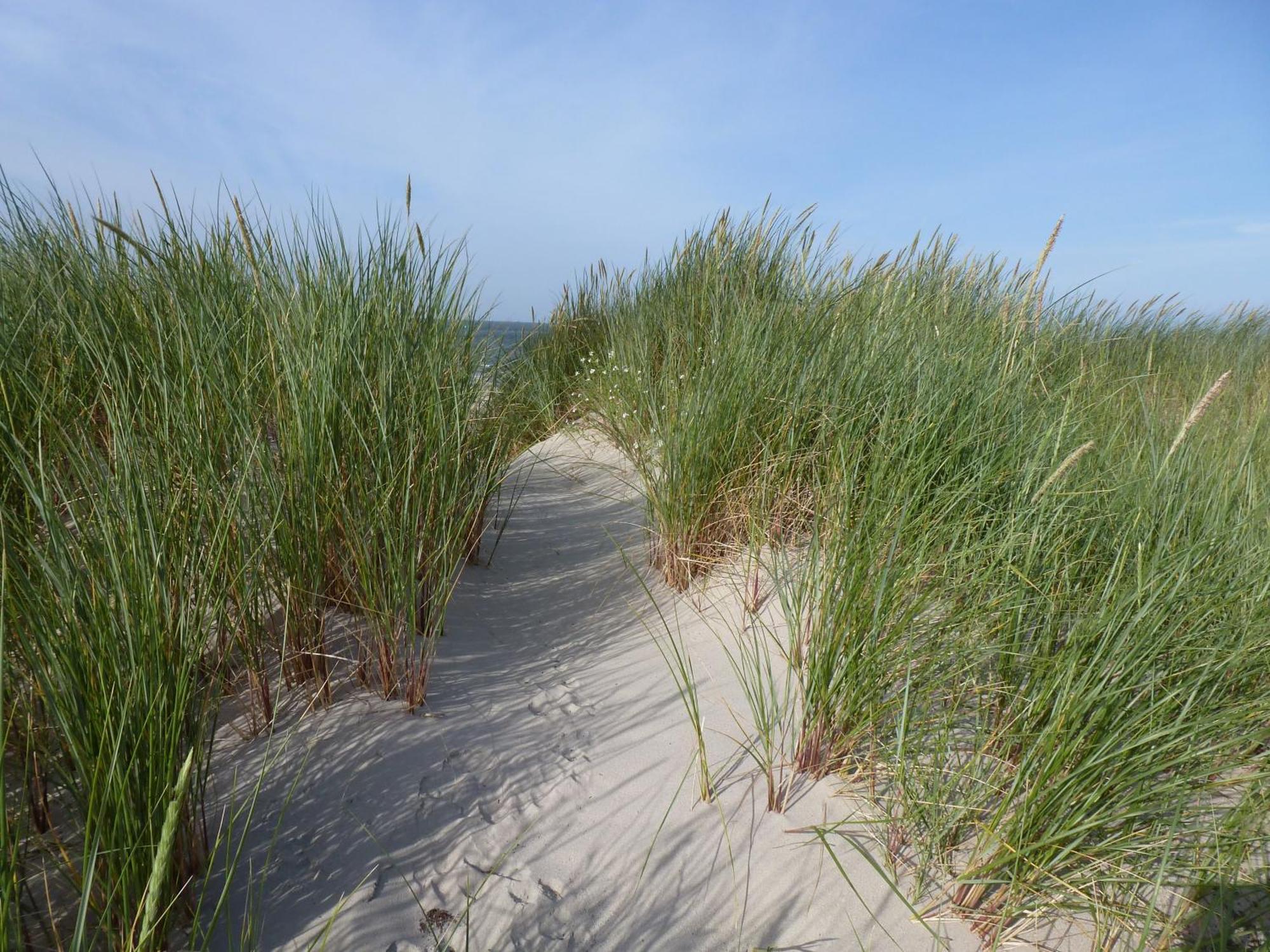 Strandhaus Viktoria 